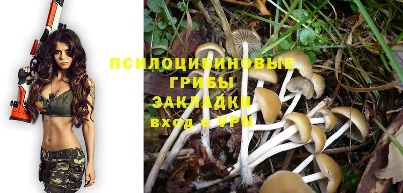 Псилоцибиновые грибы GOLDEN TEACHER  закладки  Еманжелинск 